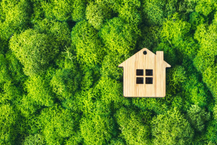 A small toy house on a background of plants as a symbol of a private country house. The concept of real estate in mortgages.